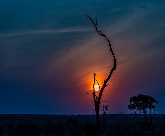 Kenya_Jul282019_4596