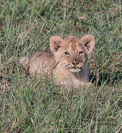 Kenya_Jul272019_4632