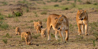 Kenya_072819_7205