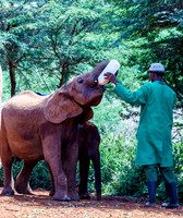 Kenya_Jul212019_3530