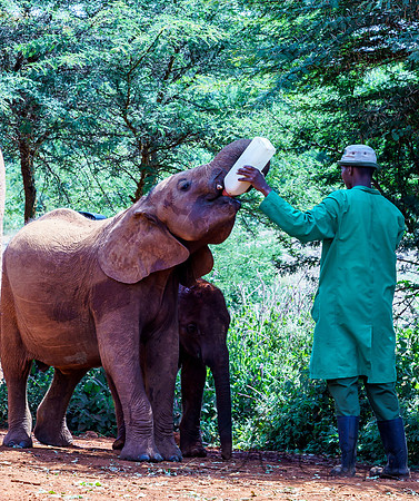 Kenya_Jul212019_3530