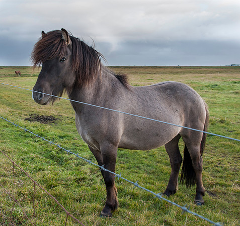 ICELAND2013_Sep202013_1055