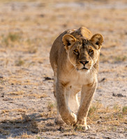 Kenya_072319_1425