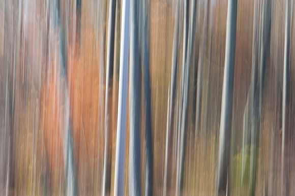 PEEC_Oct192013_0372