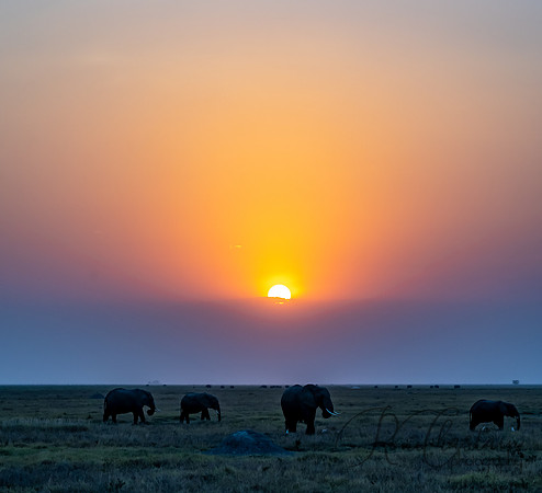 Kenya_Jul232019_1444