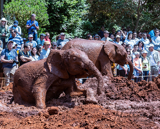 Kenya_Jul212019_3519