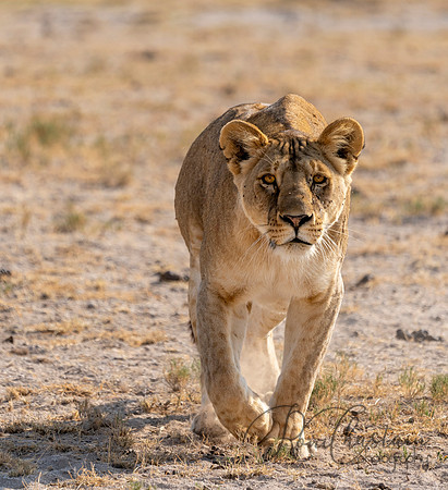 Kenya_072319_1425