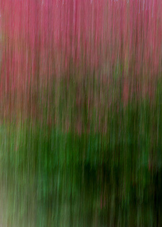 PEEC_Oct202013_0169