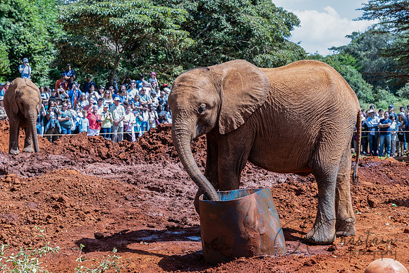 Kenya_Jul212019_3393