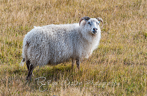 ICELAND2013_Sep212013_0503