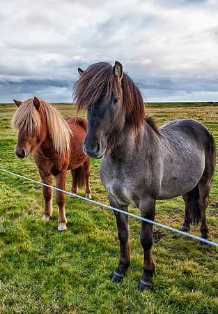 ICELAND2013_Sep202013_1035