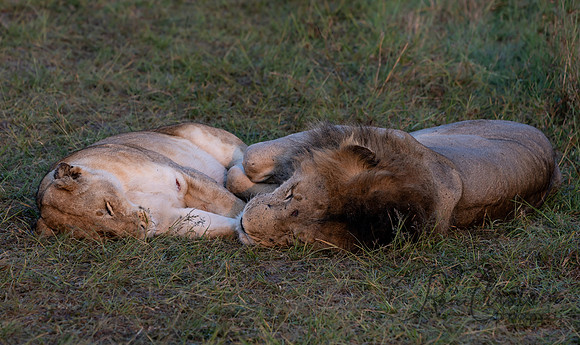 Kenya_Jul262019_5374