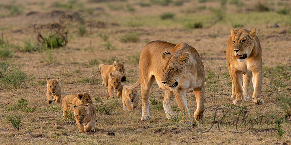 Kenya_072819_7205