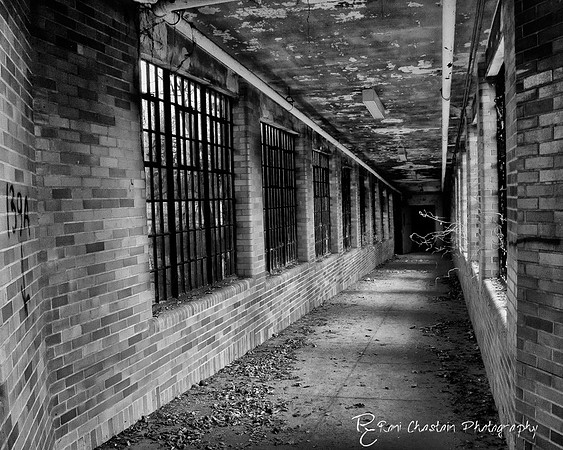 KingsPark_Dec312011_7116-bw