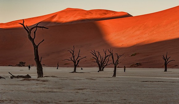 Namibia700_061916_4470