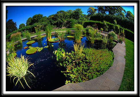 _RMC0335_tonemapped copy