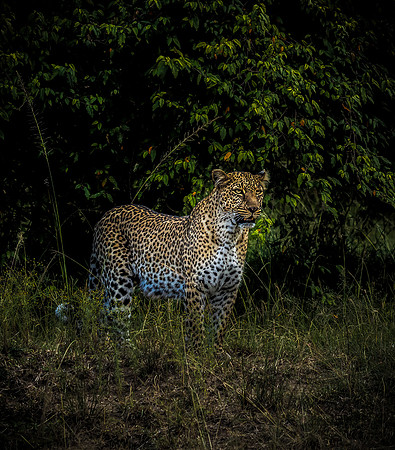 Kenya_Jul272019_4941