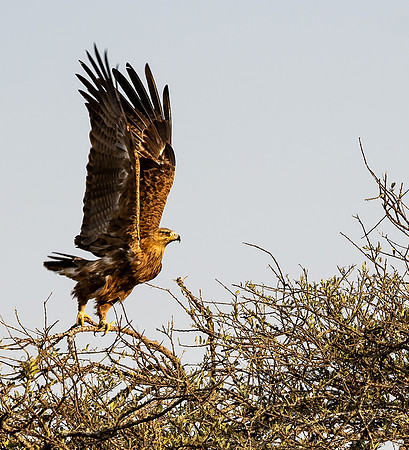 Kenya_Jul252019_6269