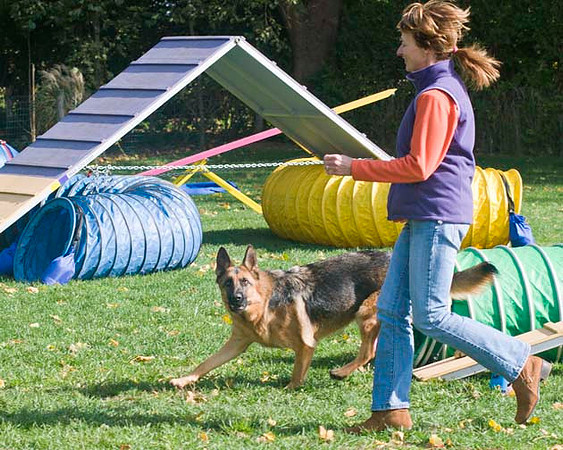 AllfurfunAgility 103010_0067