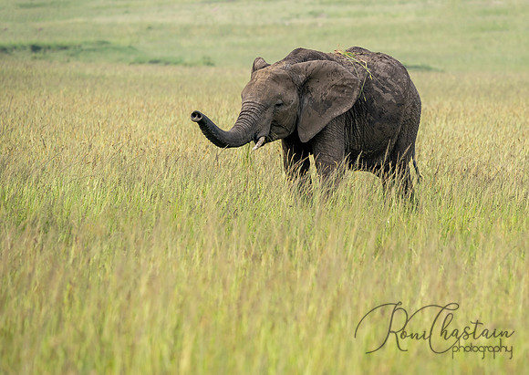Kenya_072519_5305