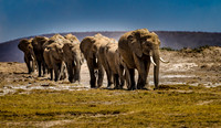 Kenya_Jul232019_0000
