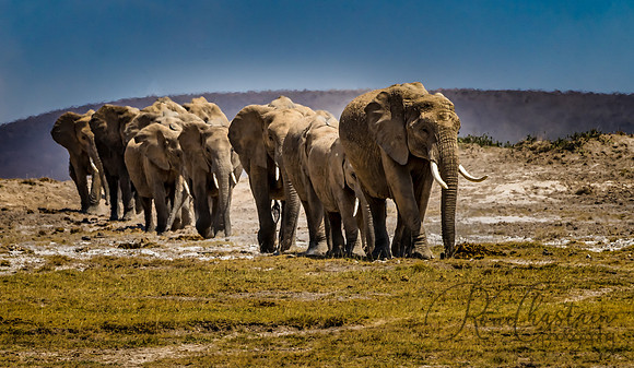 Kenya_Jul232019_0000