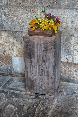 Cloisters_0007