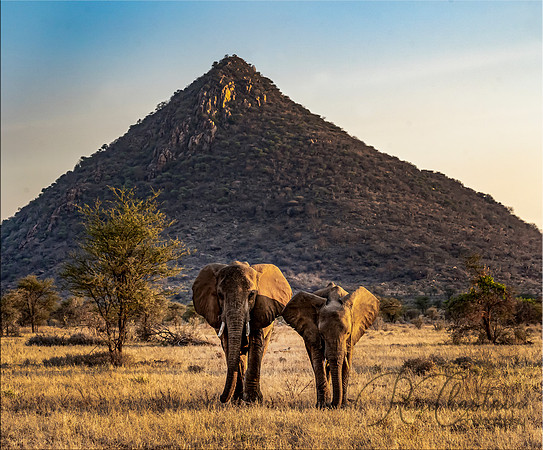 Kenya_Aug012019_9532