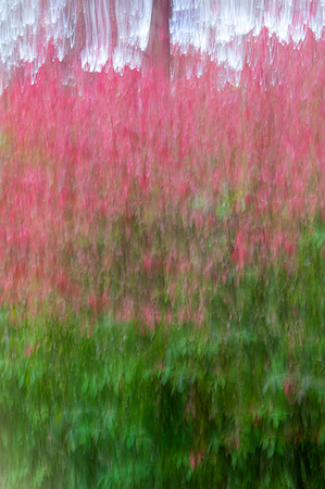 PEEC_Oct202013_0170