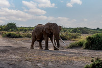 Kenya_Jul222019_4147