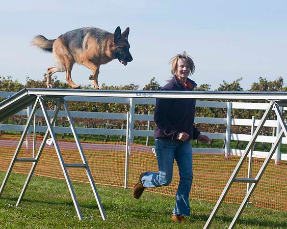 AllfurfunAgility 103010_0149