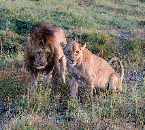 Kenya_Jul262019_5386