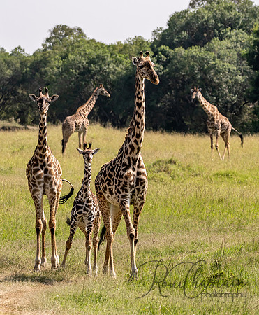 Kenya_Jul272019_4788