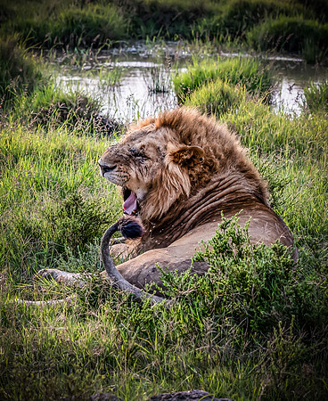 Kenya_Jul252019_5940