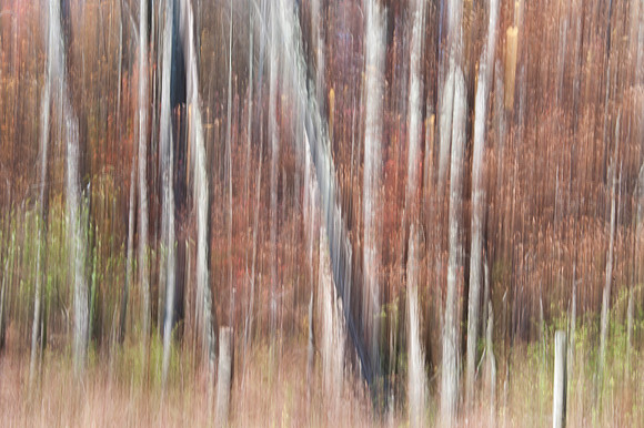 PEEC_Oct192013_0312