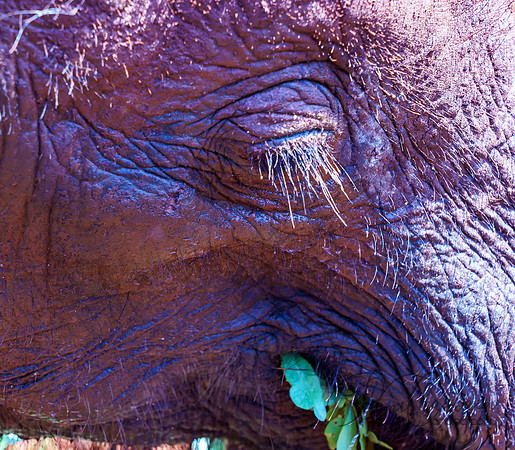 Kenya_Jul212019_3492