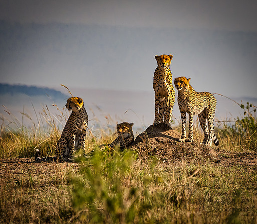 Kenya_Jul262019_5496