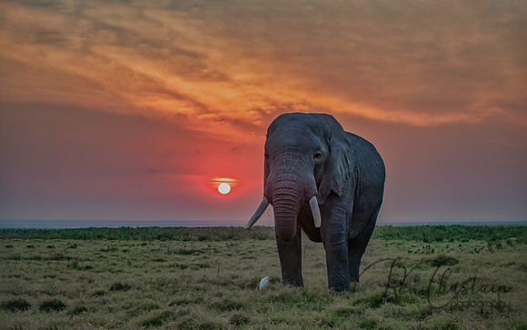 Kenya_Jul242019_9863