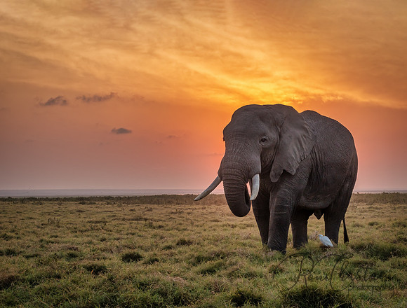 Kenya_Jul242019_9870