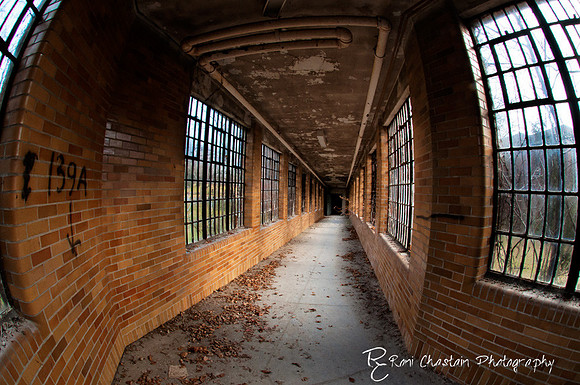 KingsPark_Dec312011_7153