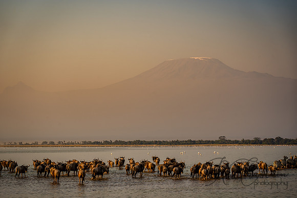 Kenya_Jul242019_6596