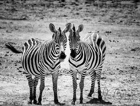 Kenya_Jul232019_2245