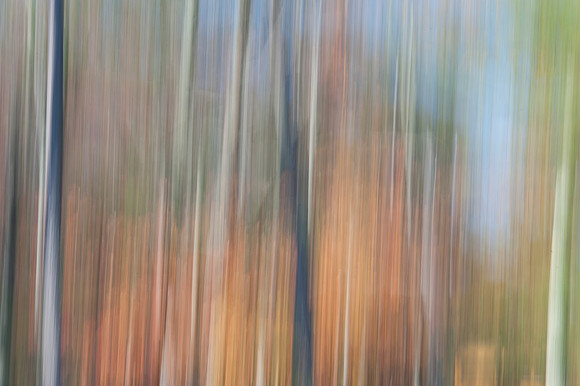 PEEC_Oct192013_0362