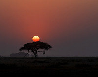 Kenya_Jul222019_4260