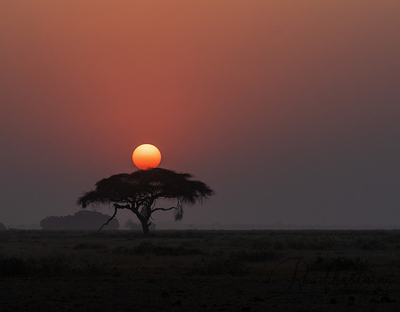 Kenya_Jul222019_4260