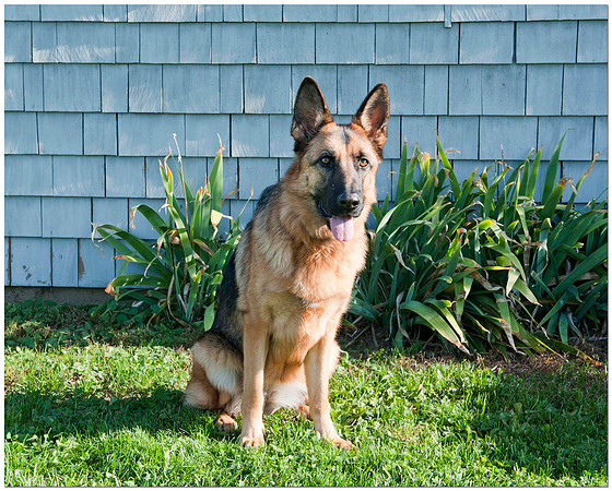 AllFurFun 10-30-10_0078