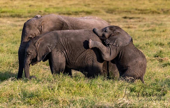 Kenya_Jul232019_1343