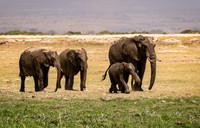 Kenya_Jul232019_0094