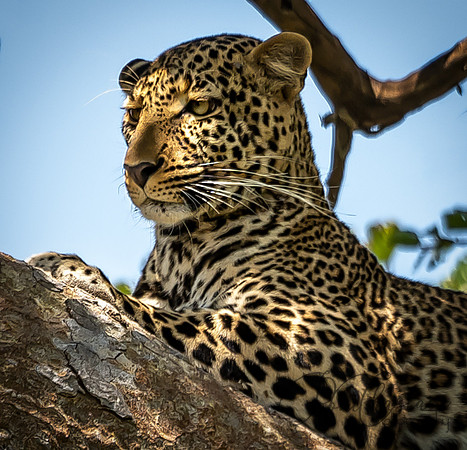 Kenya_Jul272019_4886