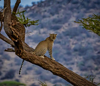 Kenya 2019
